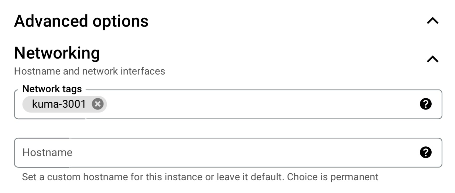 VM networking options